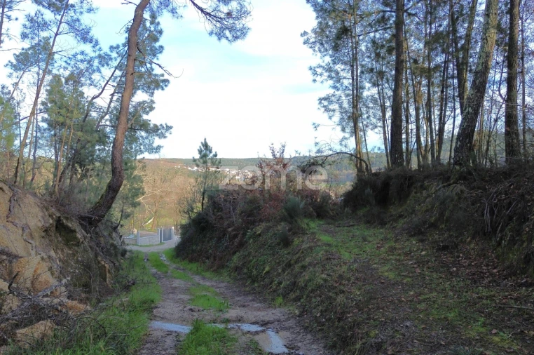 Terreno para Venda em Calde Foto 14