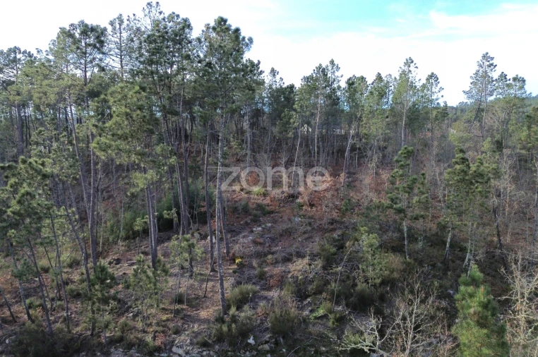 Terreno para Venda em Calde Foto 19