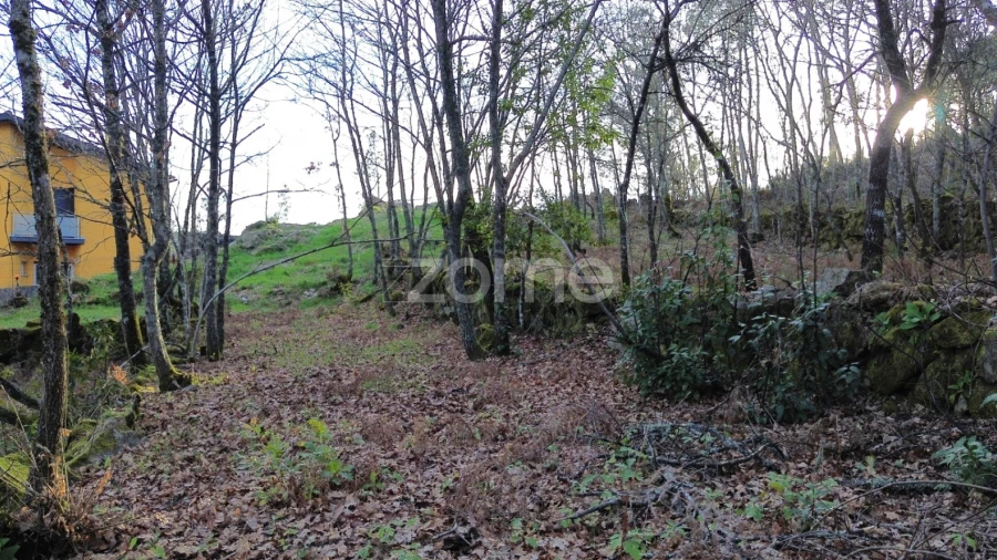 Terreno para Venda em Calde