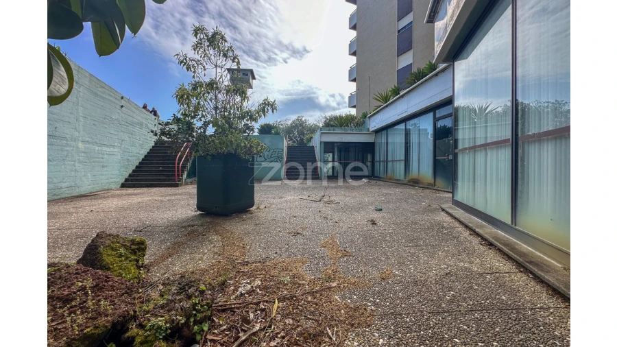 Negócio para Arrendamento em Ponta Delgada (São Sebastião) Foto 3