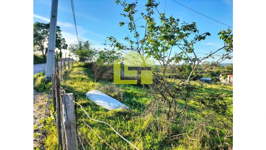 Terreno para Venda em Santo Varão Foto 4