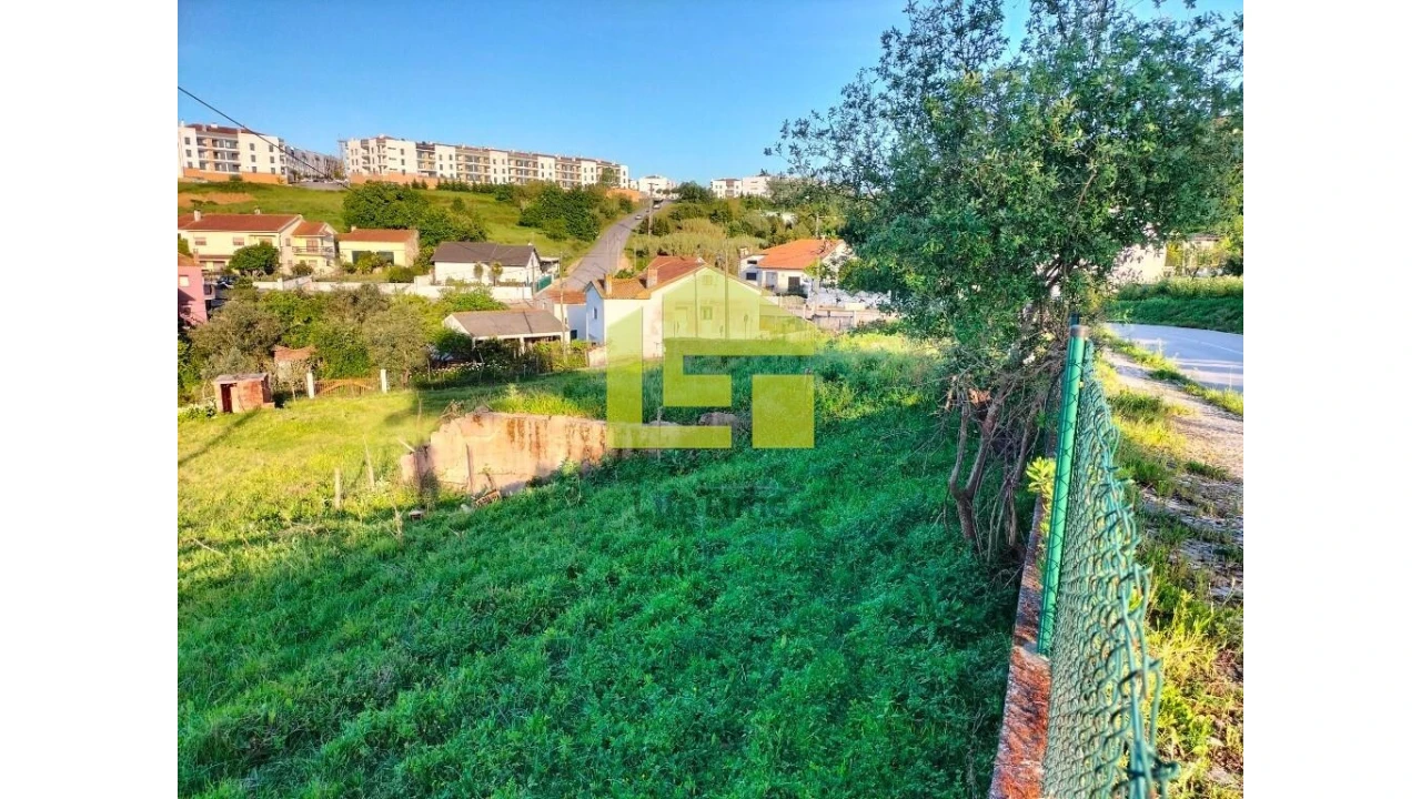 Terreno para Venda em Santo Varão Foto 5