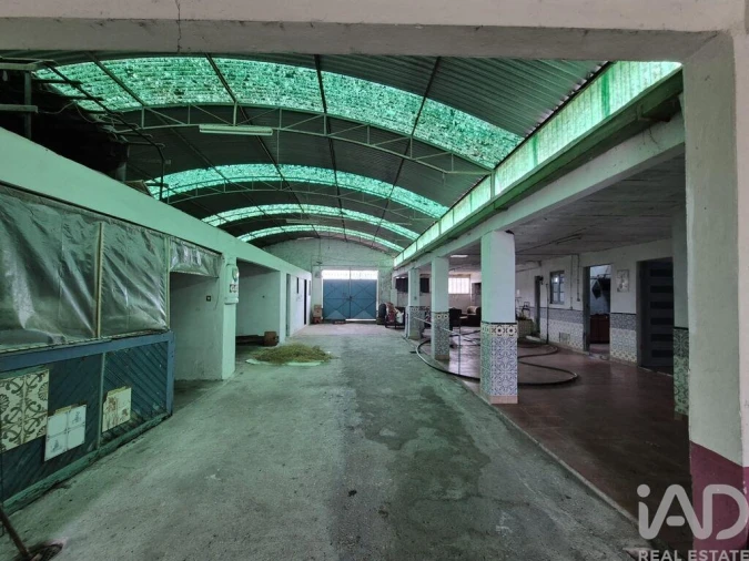 Moradia T3 para Venda em Ponte de Vagos e Santa Catarina Foto 7