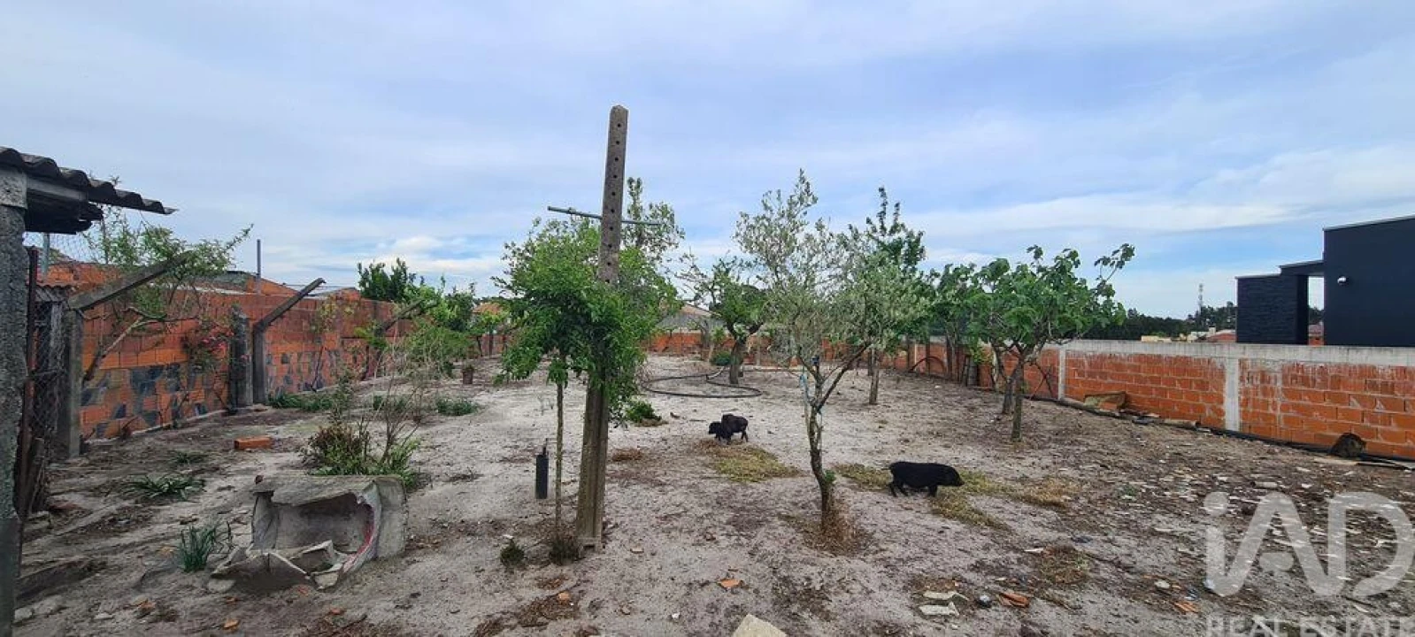 Moradia T3 para Venda em Ponte de Vagos e Santa Catarina Foto 6