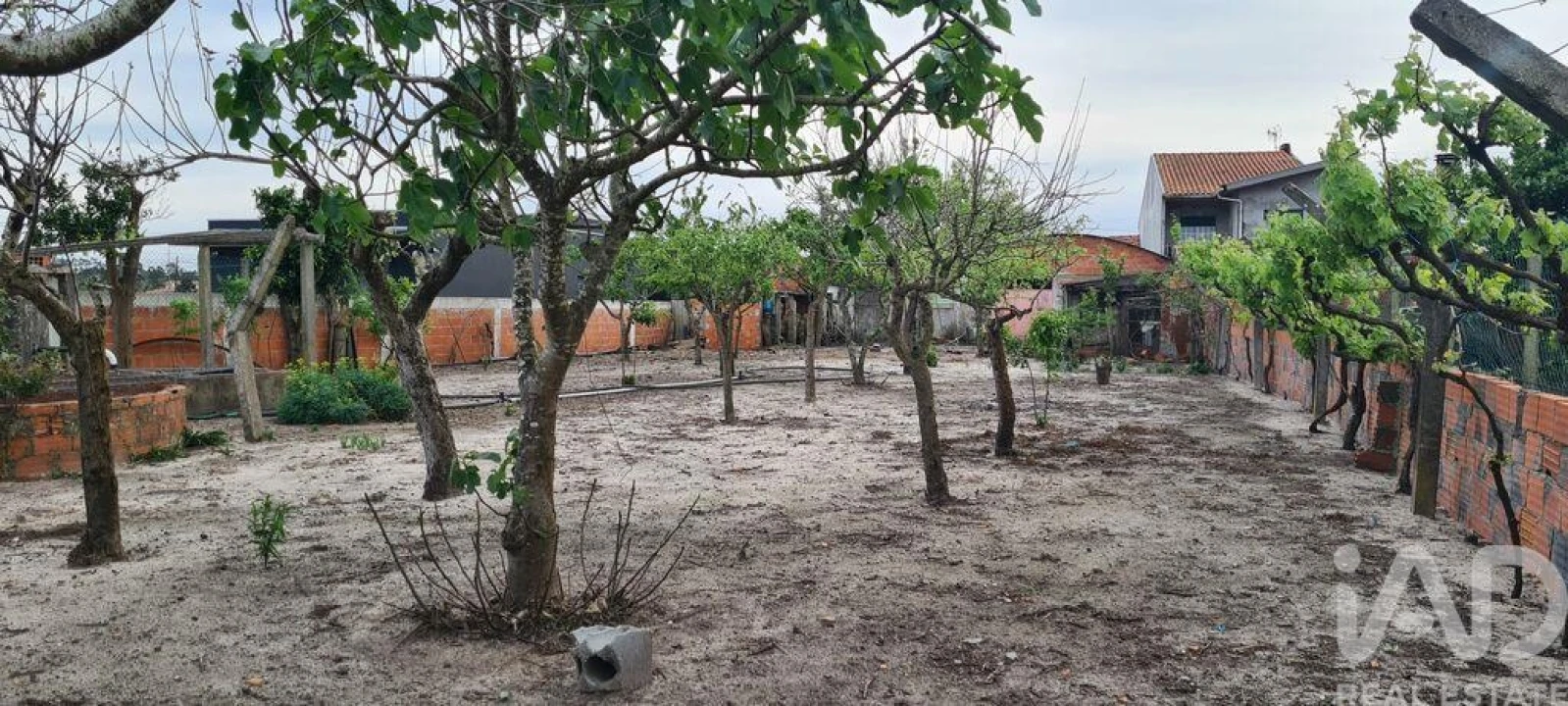 Moradia T3 para Venda em Ponte de Vagos e Santa Catarina Foto 1