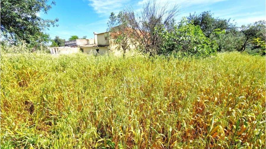 Moradia T2 para Venda em Loule (São Clemente) Foto 3