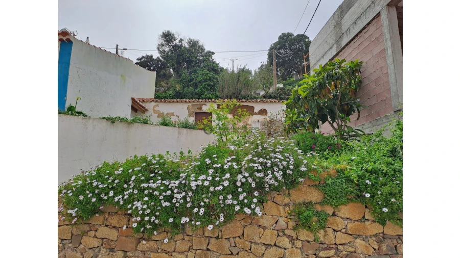Terreno para Venda em Bordeira Foto 2