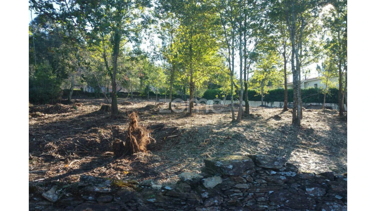 Terreno para Venda em Venade e Azevedo Foto 13