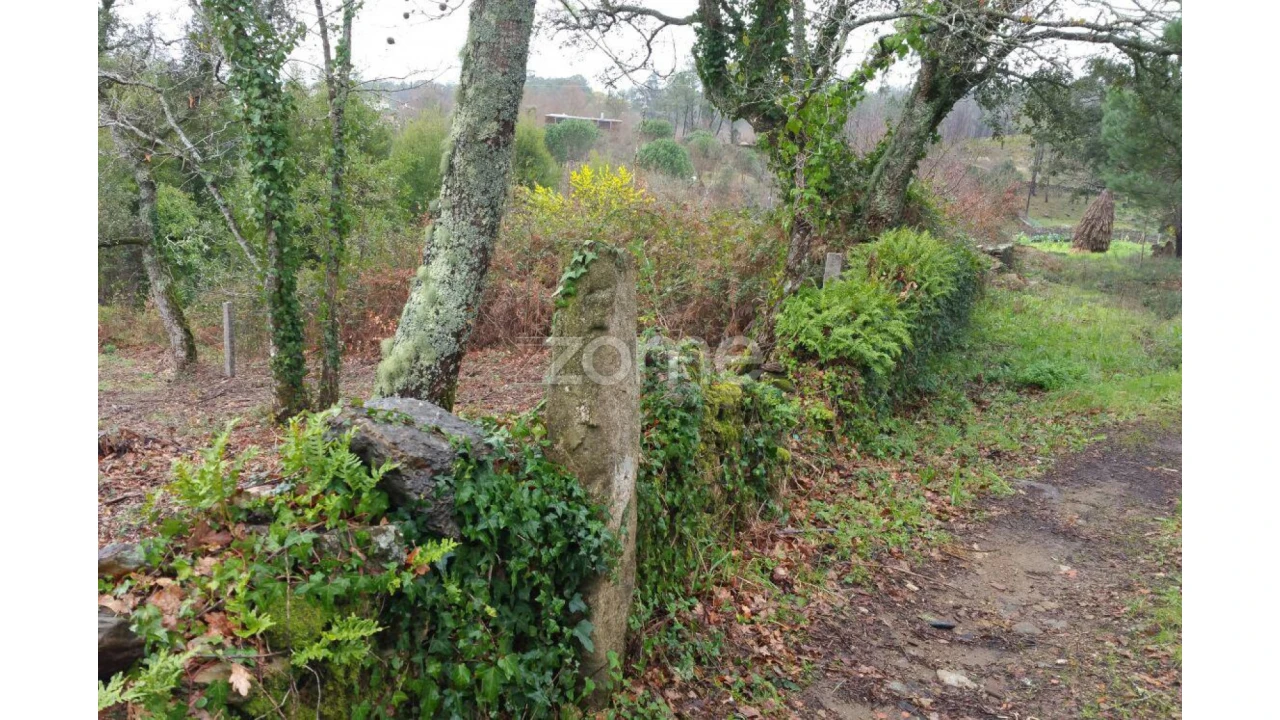 Terreno para Venda em Venade e Azevedo Foto 15
