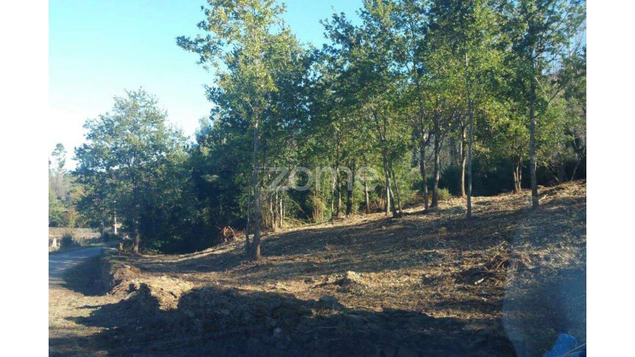 Terreno para Venda em Venade e Azevedo Foto 10