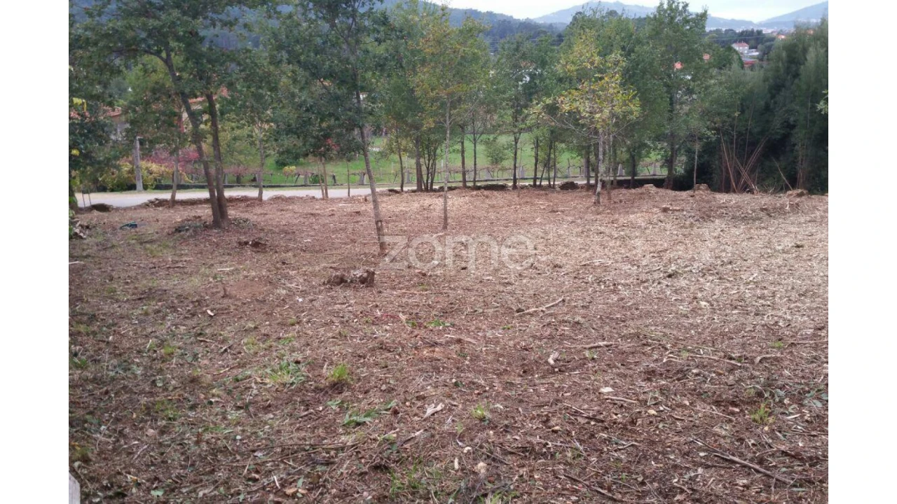 Terreno para Venda em Venade e Azevedo Foto 5