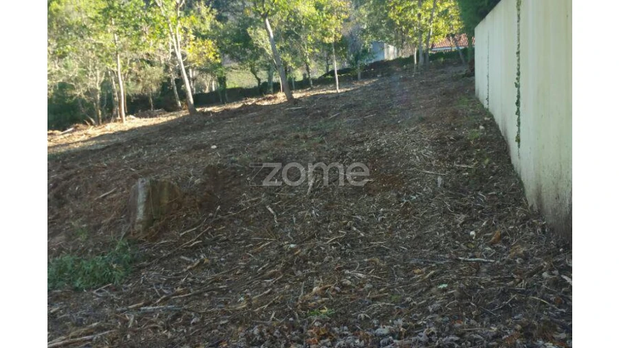 Terreno para Venda em Venade e Azevedo Foto 12