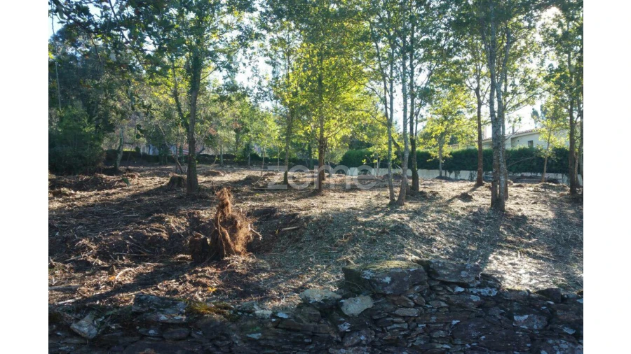 Terreno para Venda em Venade e Azevedo Foto 13