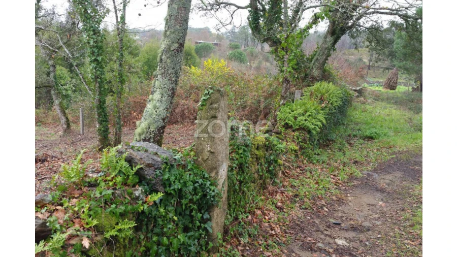 Terreno para Venda em Venade e Azevedo Foto 15