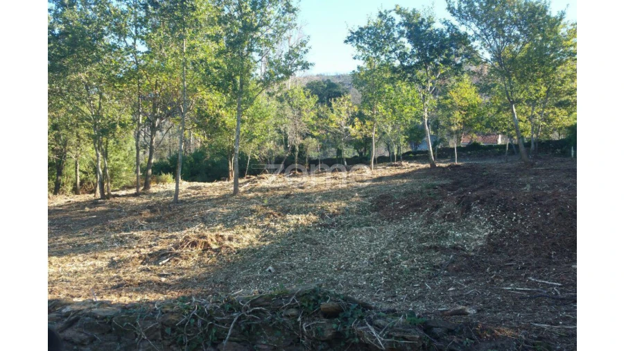 Terreno para Venda em Venade e Azevedo Foto 6