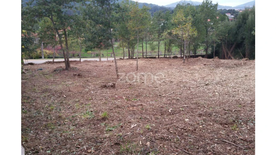 Terreno para Venda em Venade e Azevedo Foto 5