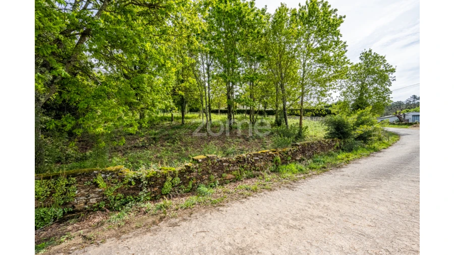 Terreno para Venda em Venade e Azevedo Foto 31