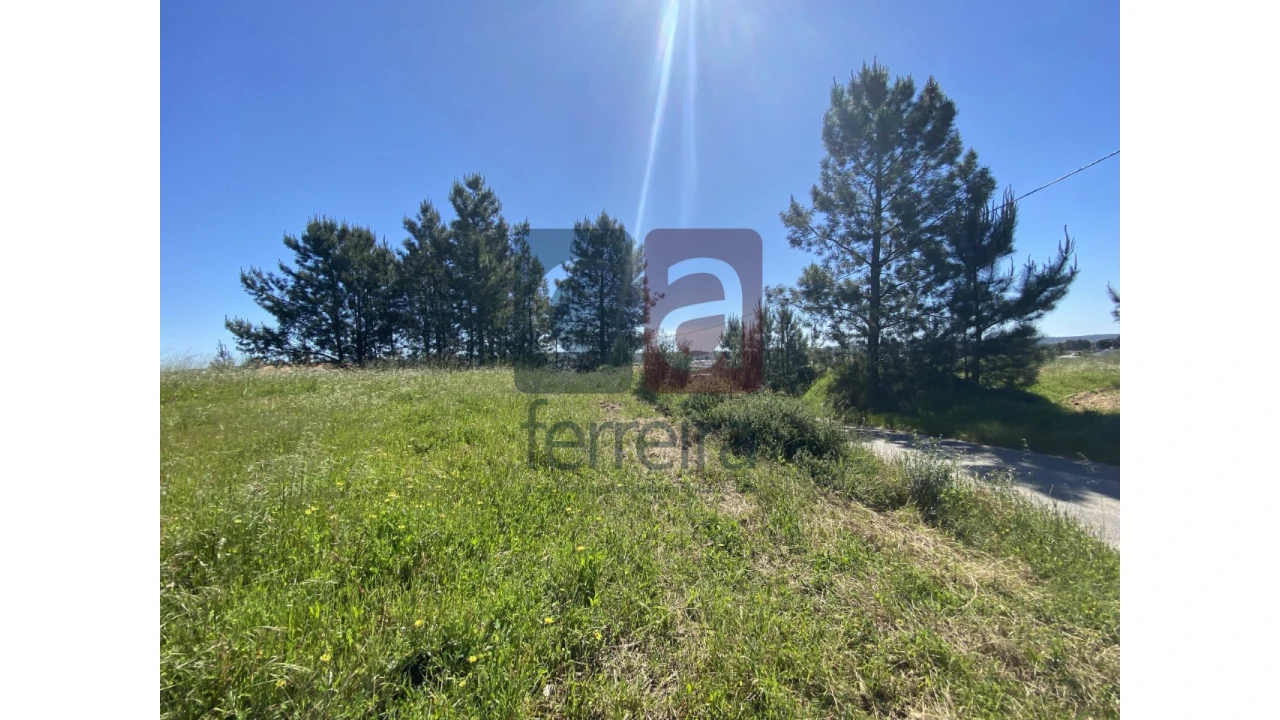 Terreno para Venda em Fazendas de Almeirim Foto 34