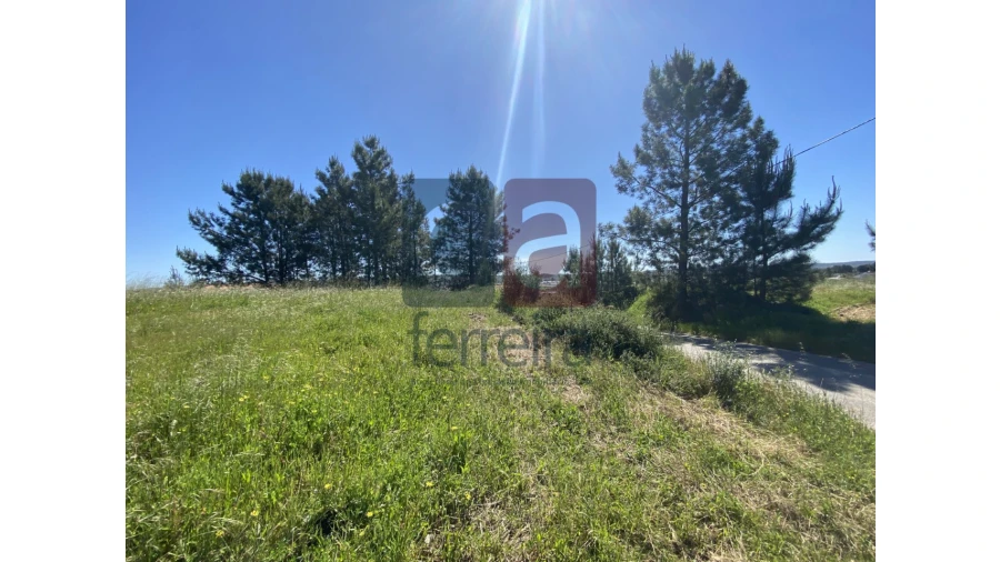 Terreno para Venda em Fazendas de Almeirim Foto 34