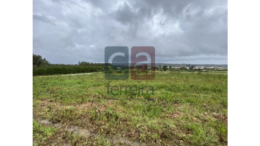 Terreno para Venda em Fazendas de Almeirim Foto 36