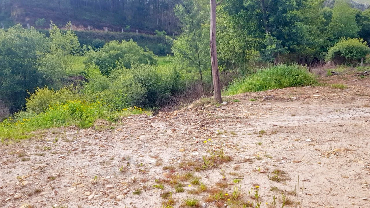 Terreno para Venda em Verdoejo Foto 18