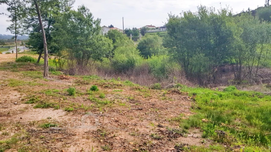 Terreno para Venda em Verdoejo Foto 6