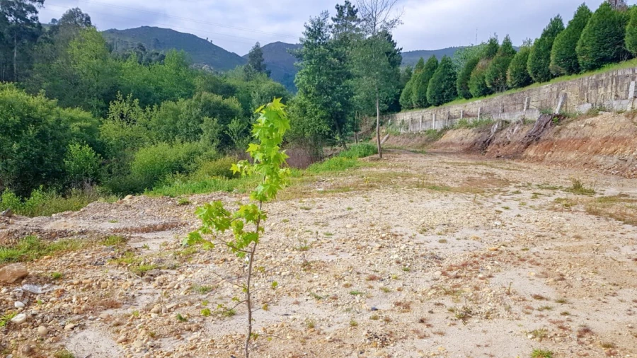 Terreno para Venda em Verdoejo Foto 14