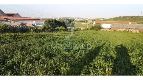 Terreno para Venda em Santa Maria e São Miguel, São Martinho, São Pedro Penaferrim