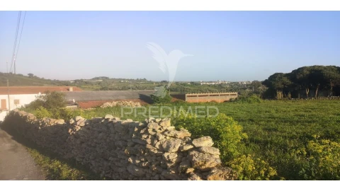 Terreno para Venda em Santa Maria e São Miguel, São Martinho, São Pedro Penaferrim