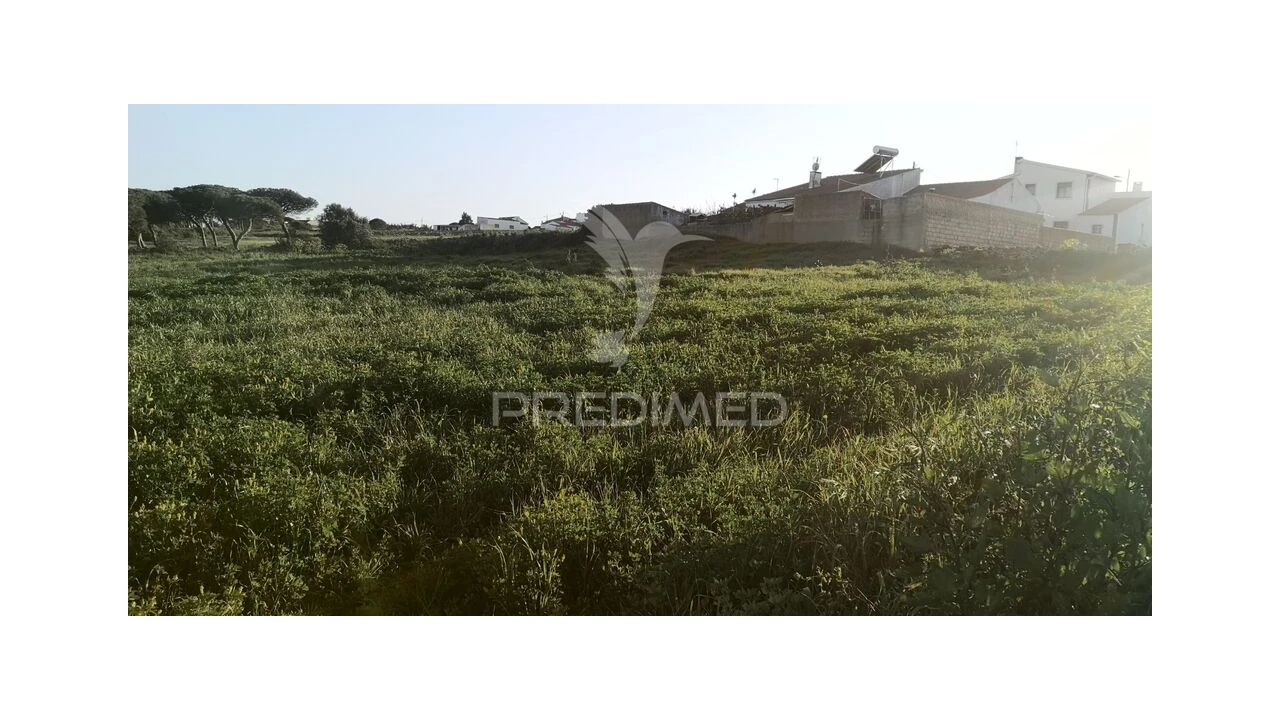 Terreno para Venda em Santa Maria e São Miguel, São Martinho, São Pedro Penaferrim Foto 6