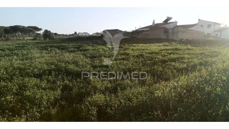 Terreno para Venda em Santa Maria e São Miguel, São Martinho, São Pedro Penaferrim Foto 6