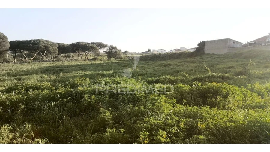 Terreno para Venda em Santa Maria e São Miguel, São Martinho, São Pedro Penaferrim Foto 10