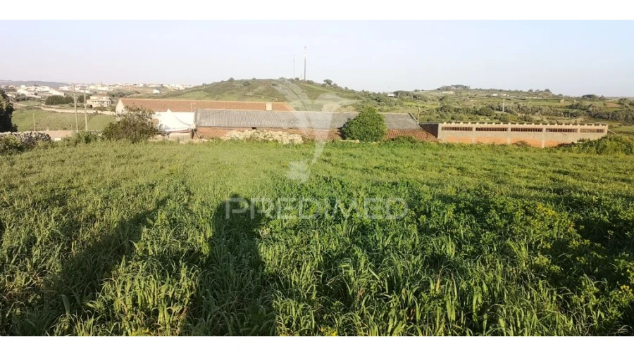 Terreno para Venda em Santa Maria e São Miguel, São Martinho, São Pedro Penaferrim Foto 8
