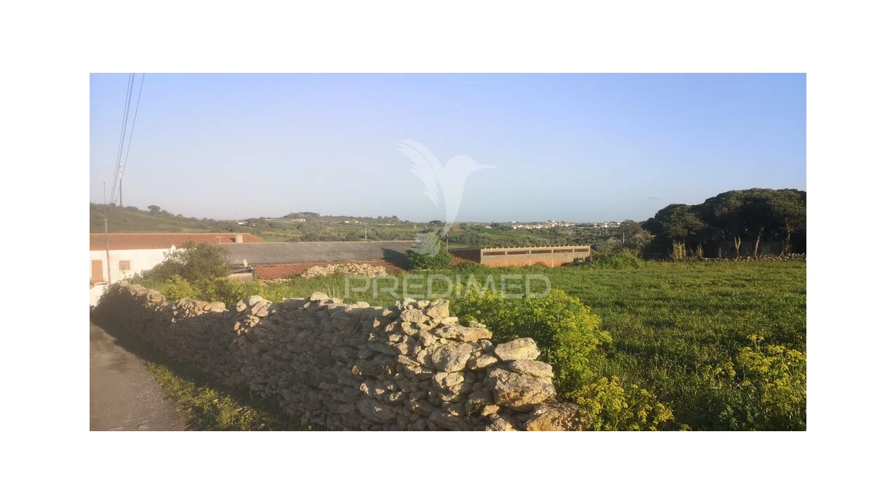 Terreno para Venda em Santa Maria e São Miguel, São Martinho, São Pedro Penaferrim Foto 5
