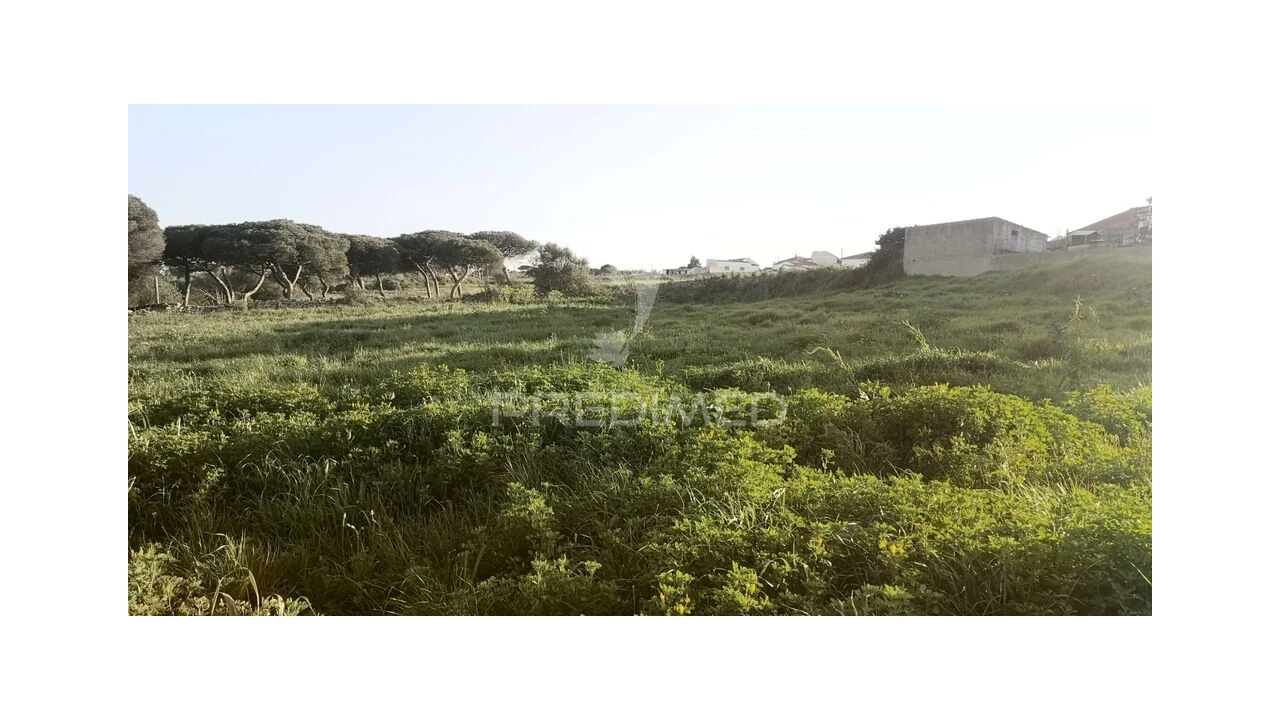 Terreno para Venda em Santa Maria e São Miguel, São Martinho, São Pedro Penaferrim Foto 10