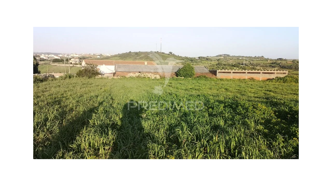 Terreno para Venda em Santa Maria e São Miguel, São Martinho, São Pedro Penaferrim Foto 8