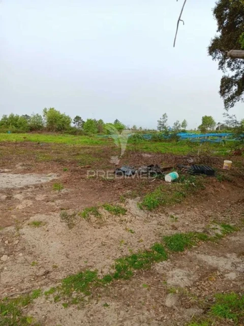 Terreno para Venda em Albergaria-A-Velha e Valmaior