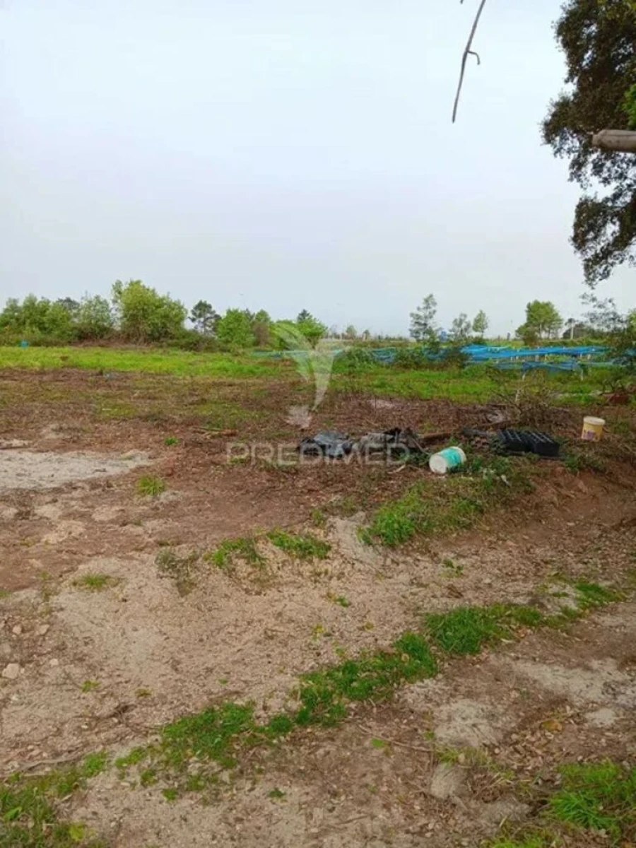 Terreno para Venda em Albergaria-A-Velha e Valmaior Foto 2