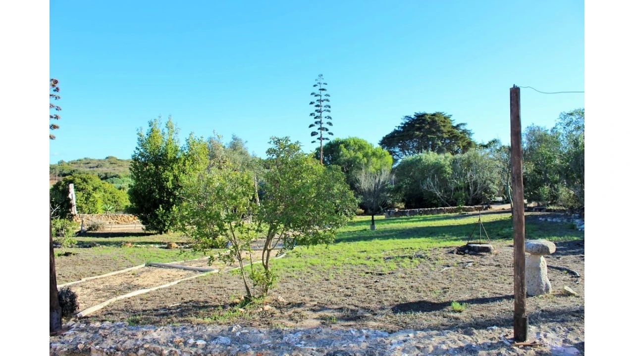 Negócio para Venda em Vila do Bispo e Raposeira Foto 3