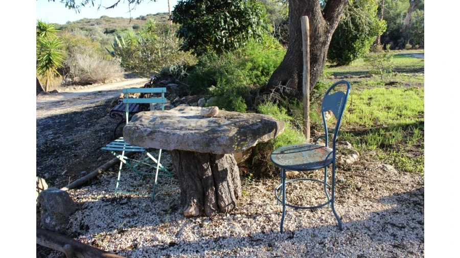 Negócio para Venda em Vila do Bispo e Raposeira Foto 47