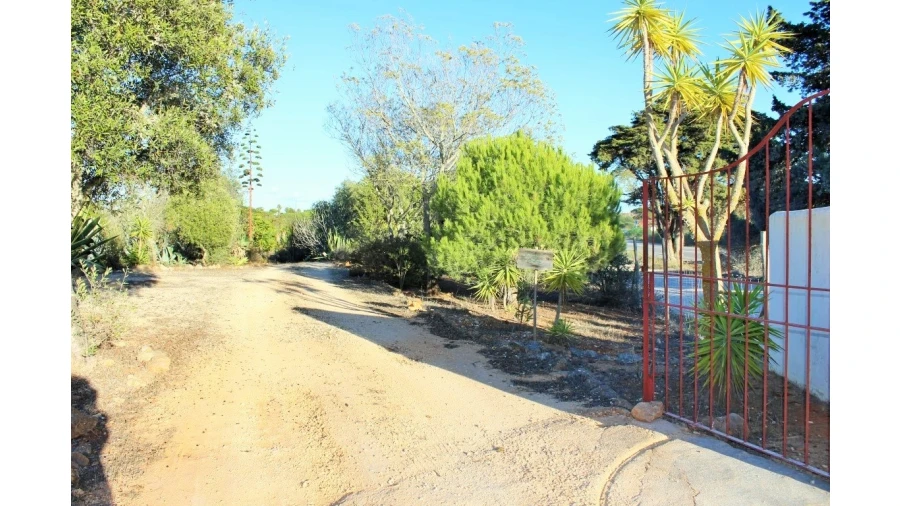Negócio para Venda em Vila do Bispo e Raposeira Foto 73