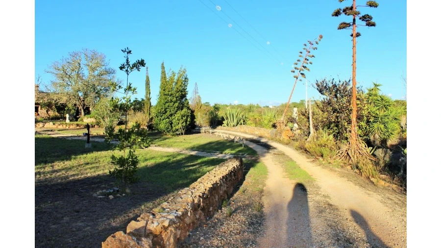 Negócio para Venda em Vila do Bispo e Raposeira Foto 4
