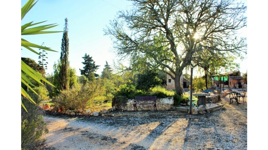 Negócio para Venda em Vila do Bispo e Raposeira Foto 65