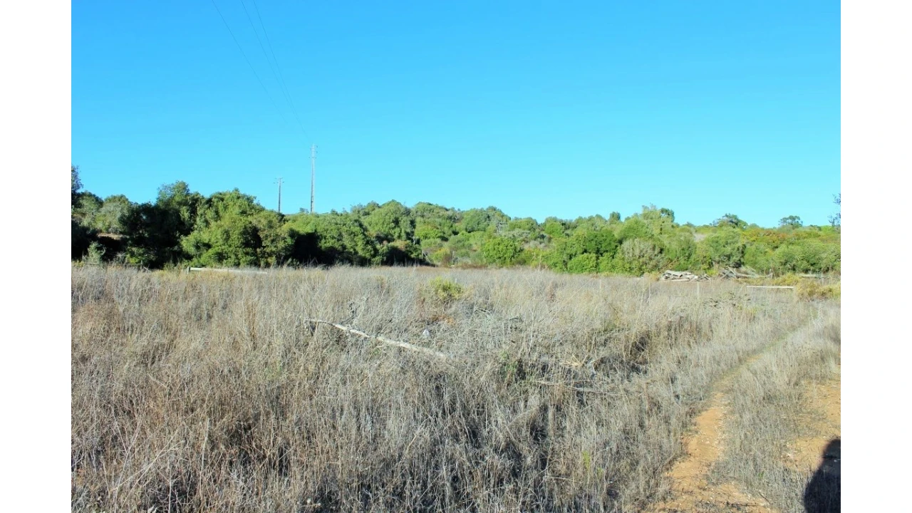 Negócio para Venda em Vila do Bispo e Raposeira Foto 63