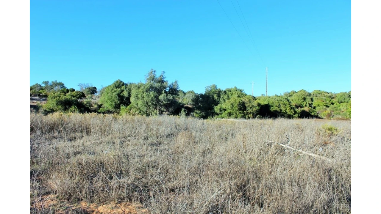 Negócio para Venda em Vila do Bispo e Raposeira Foto 5