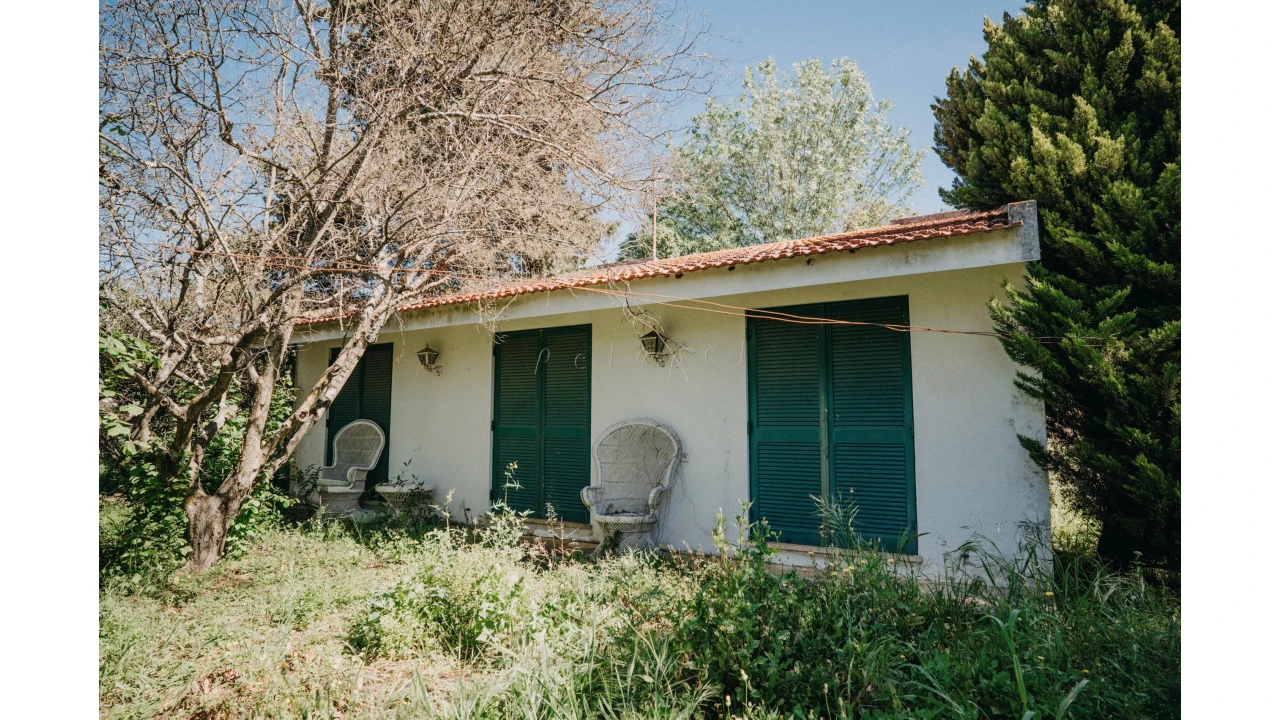 Quinta T7 para Venda em União das Freguesias de Setúbal Foto 4