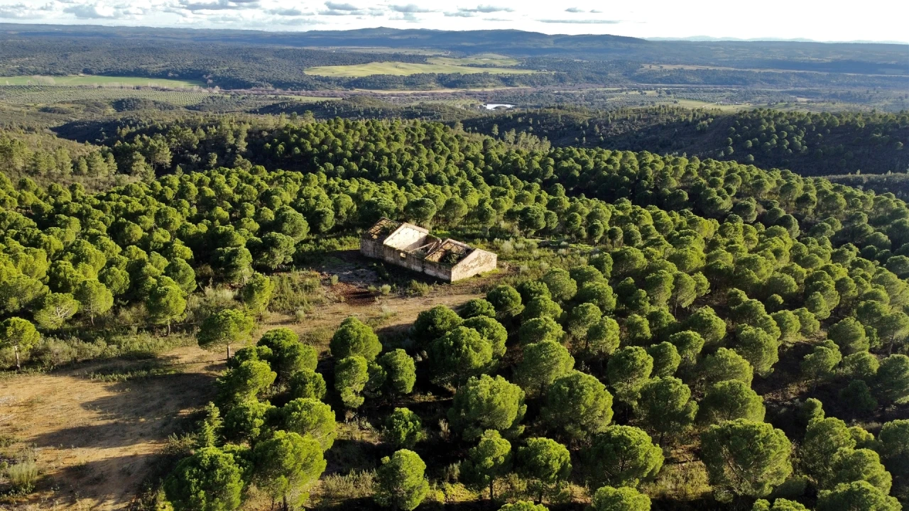 Quinta T5 para Venda em Escalos de Baixo e Mata Foto 3