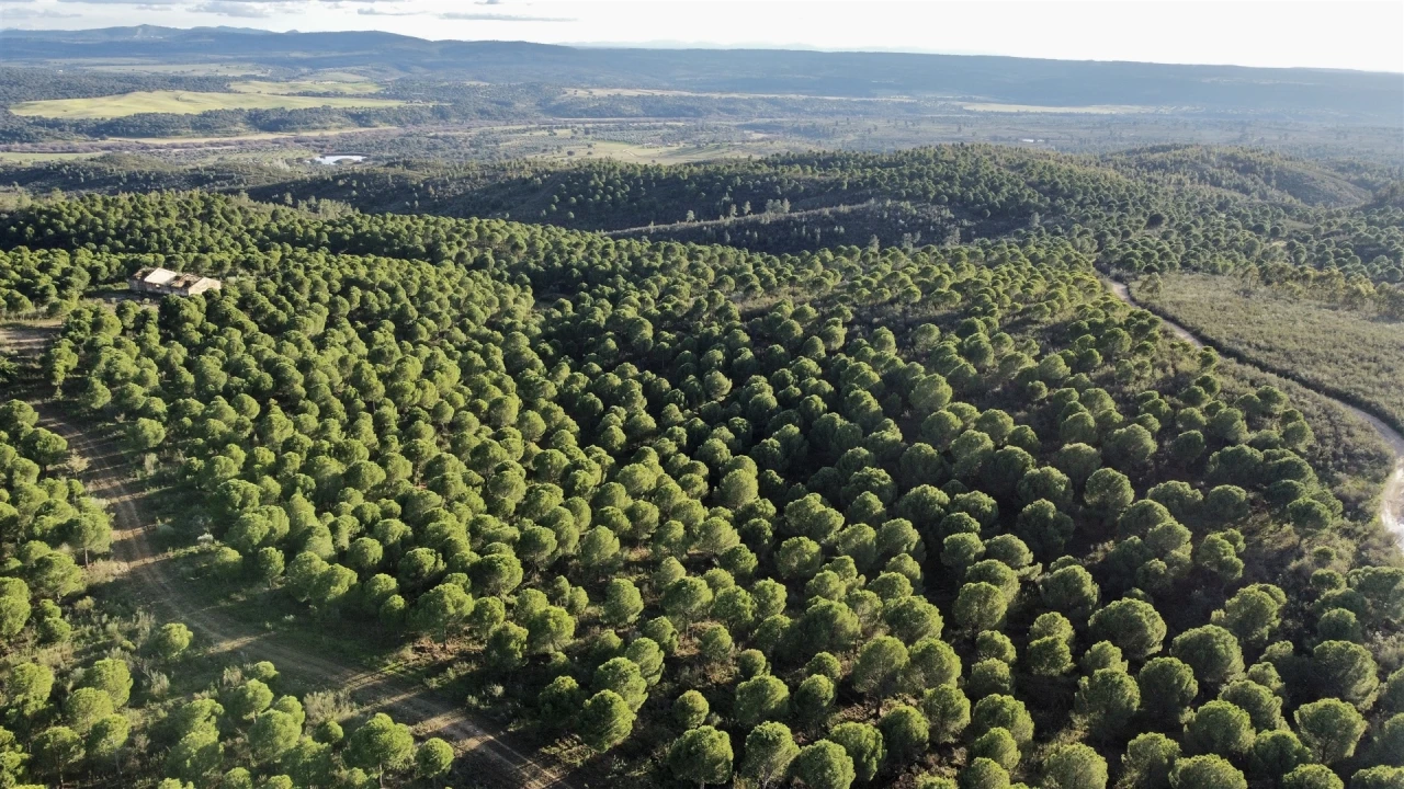 Quinta T5 para Venda em Escalos de Baixo e Mata Foto 10