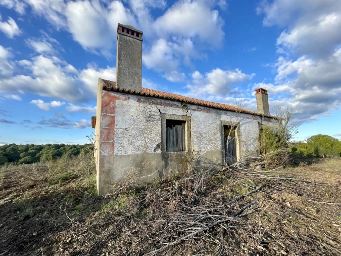 Quinta T5 para Venda em Escalos de Baixo e Mata Foto 2