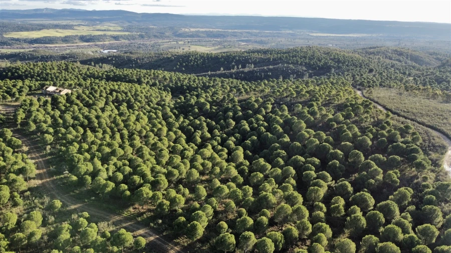 Quinta T5 para Venda em Escalos de Baixo e Mata Foto 10